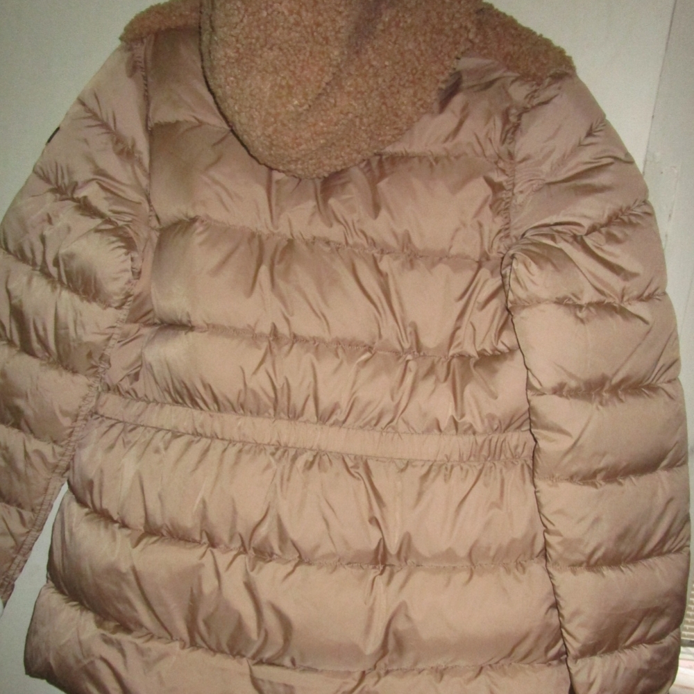 Camel Color Sam Edelman Jacket - Picture 2 of 3